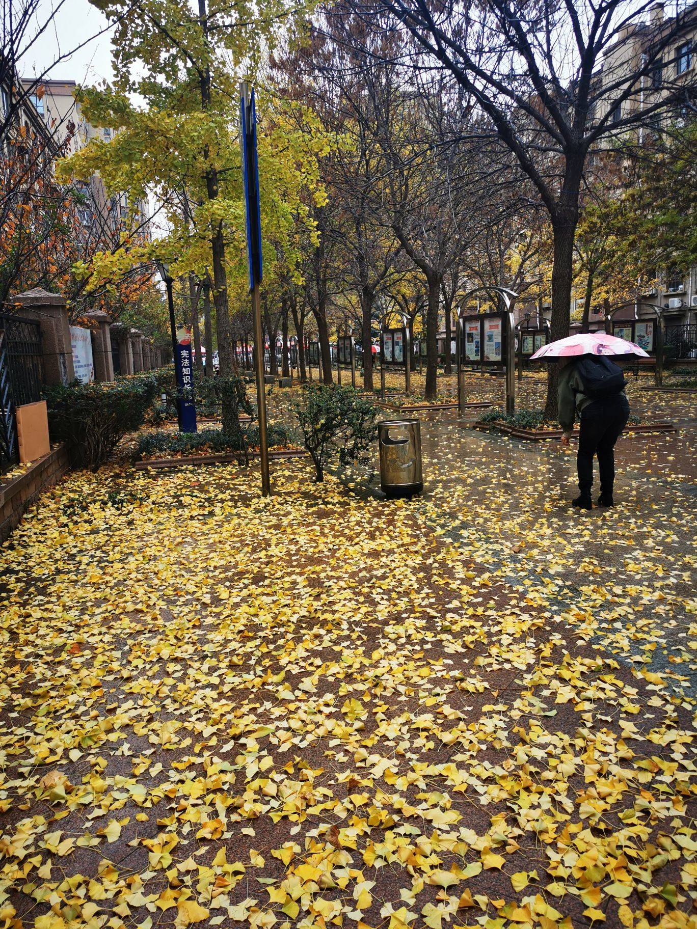 我听见日子翻页的声音