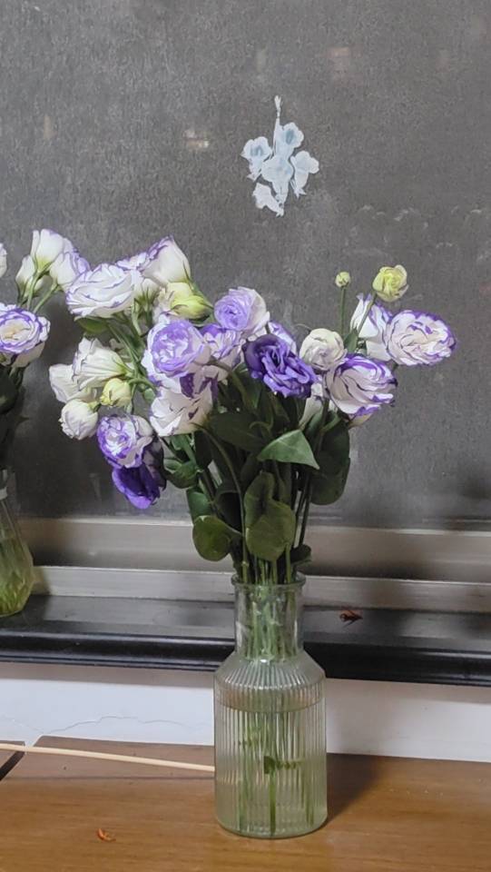 人生就是一场体验，要尽兴