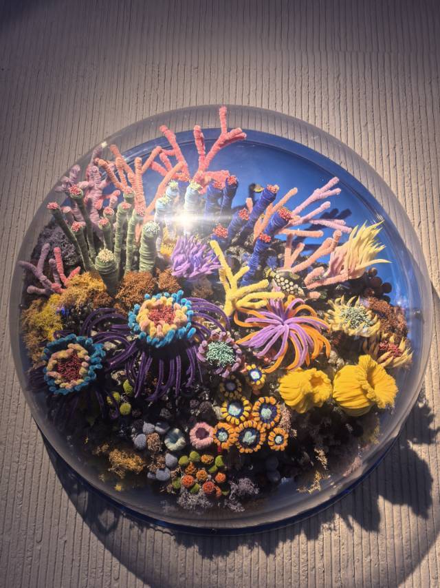 琳达