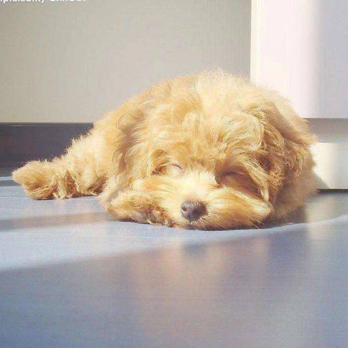 人美心善小姐姐