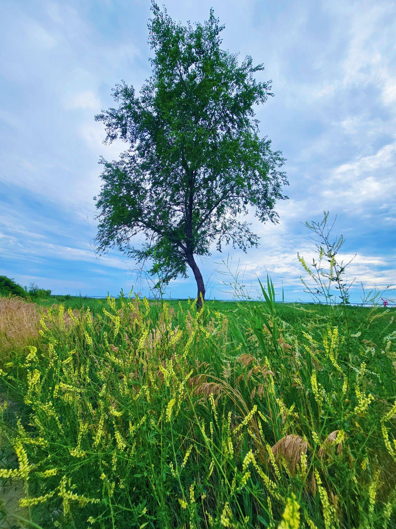 正经出租(骗子绕道)
