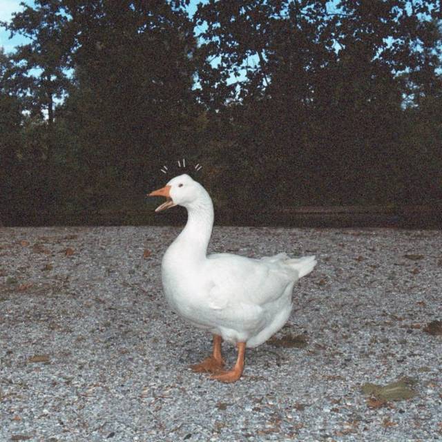 镹月.