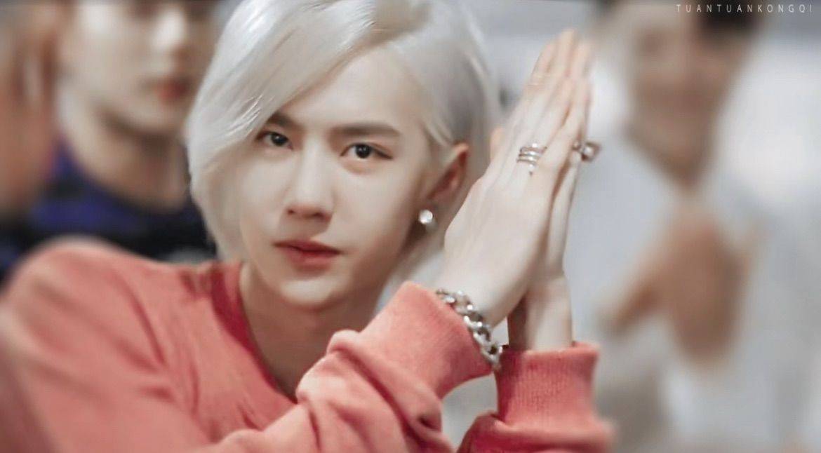 yibo