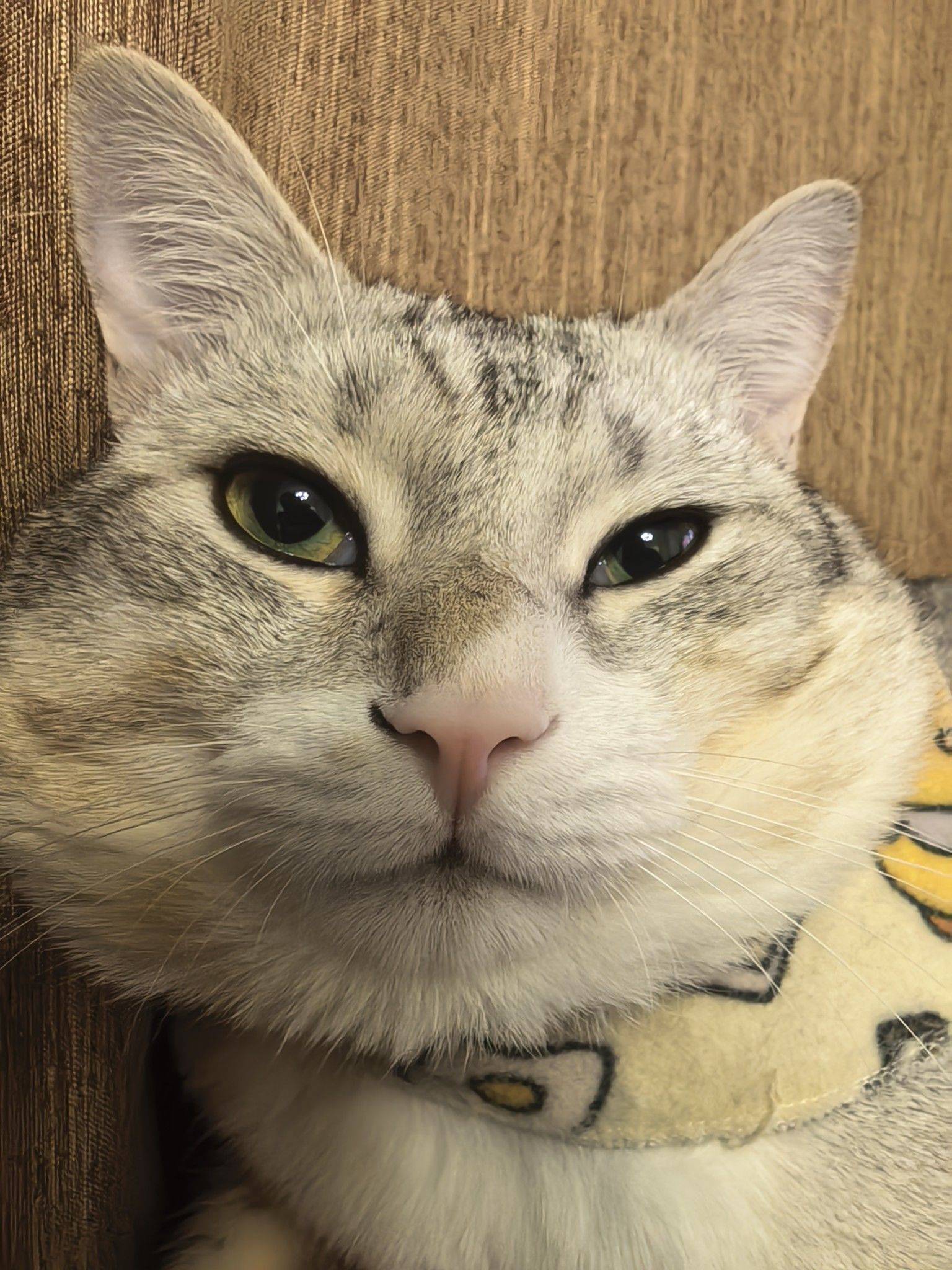 -ω-