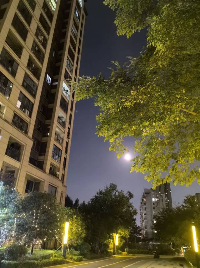 转租