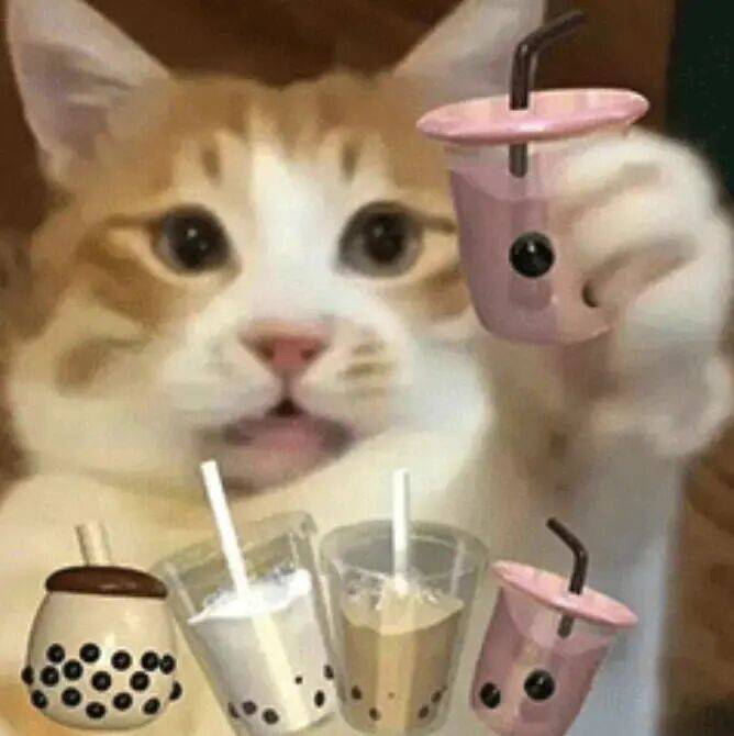 火锅真好吃