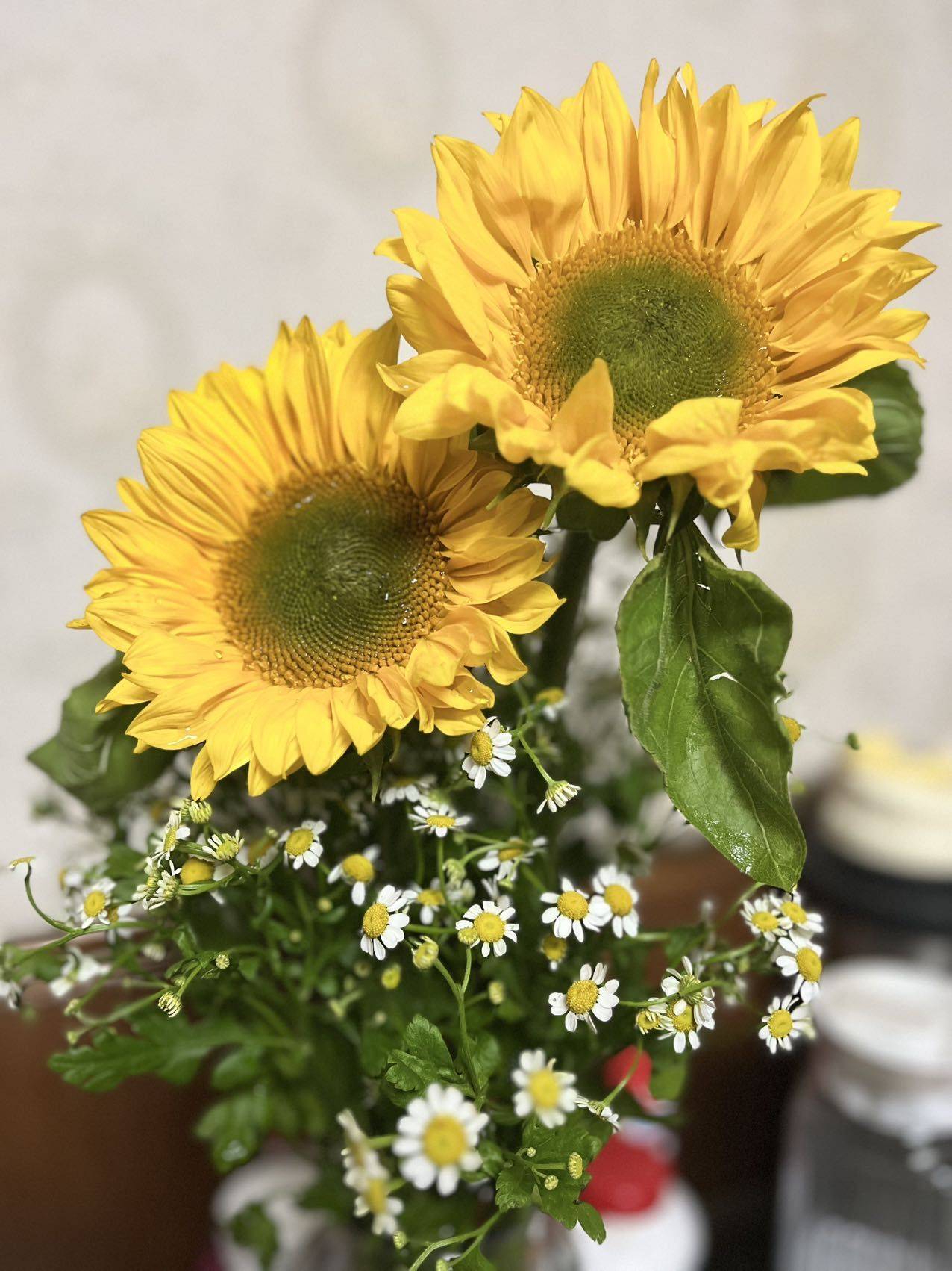 回龙观房东直租