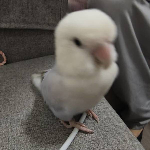 济南槐荫西市场转租