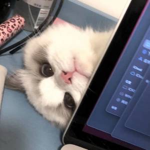 怕梦