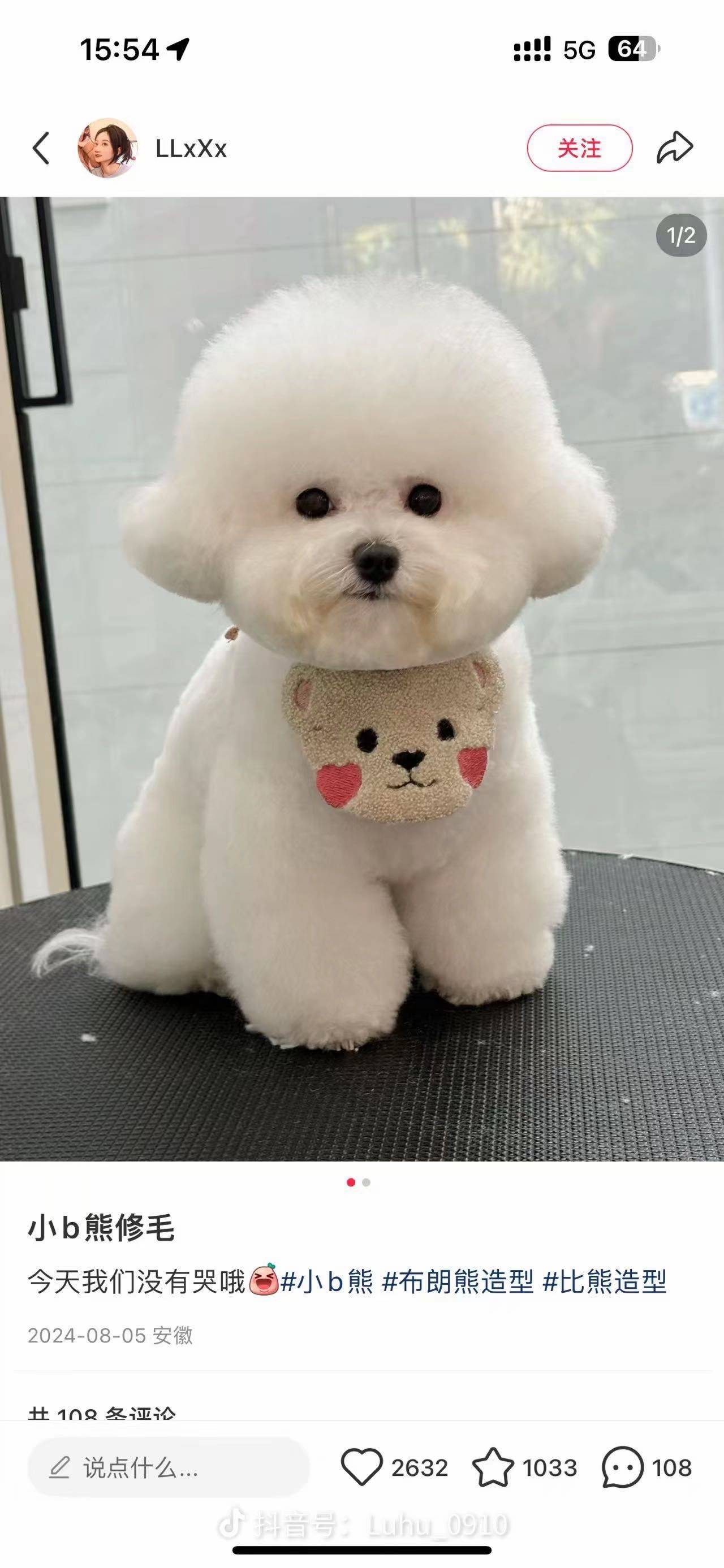 考拉🐨