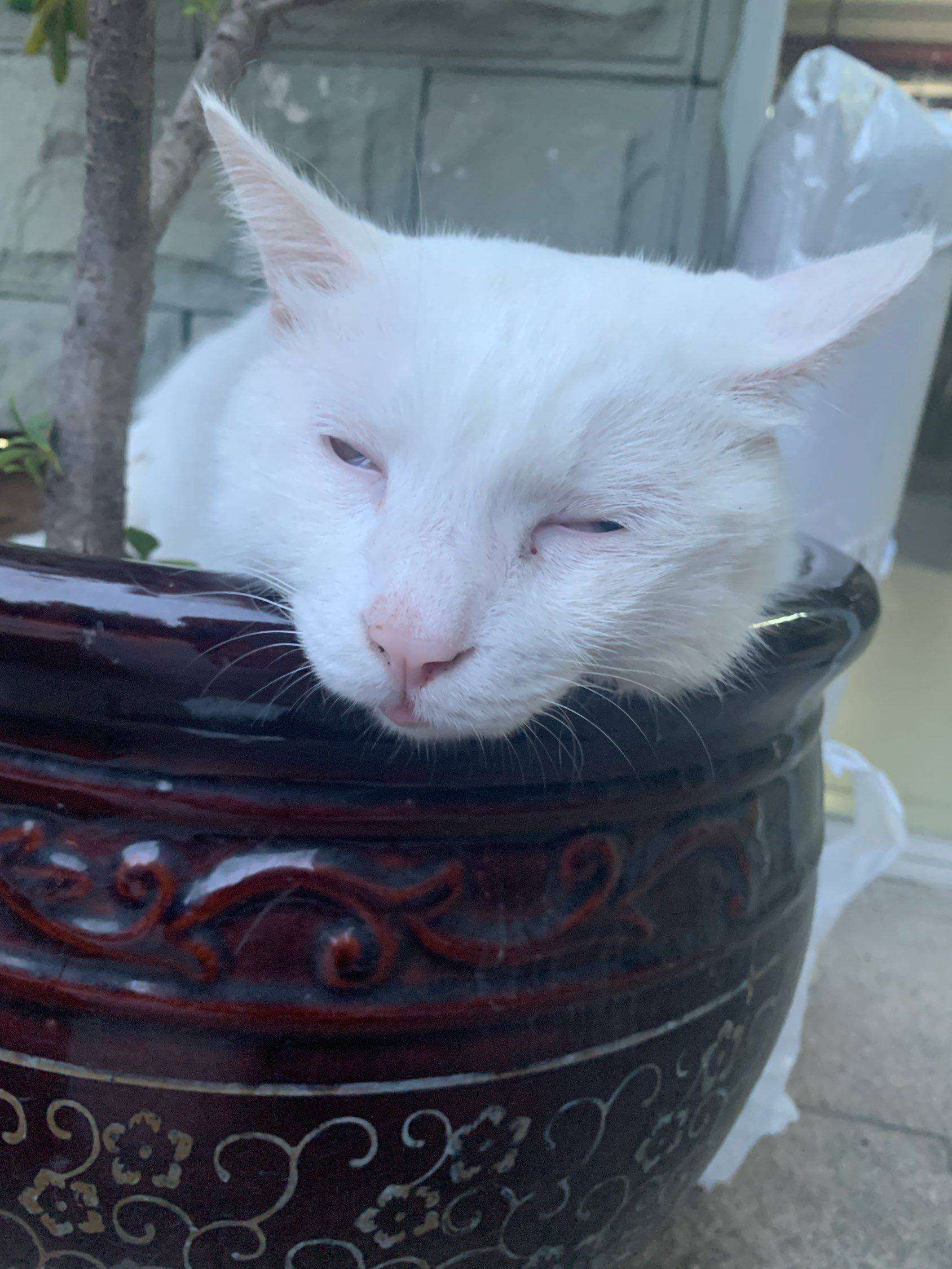 有点着急