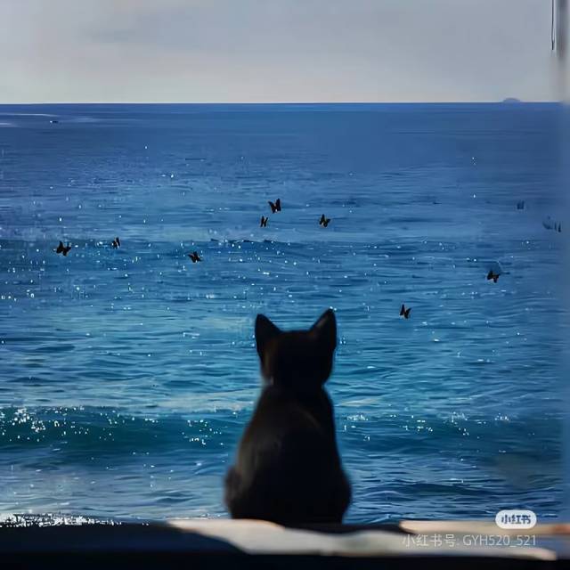 嘻嘻哈哈哈嘻嘻