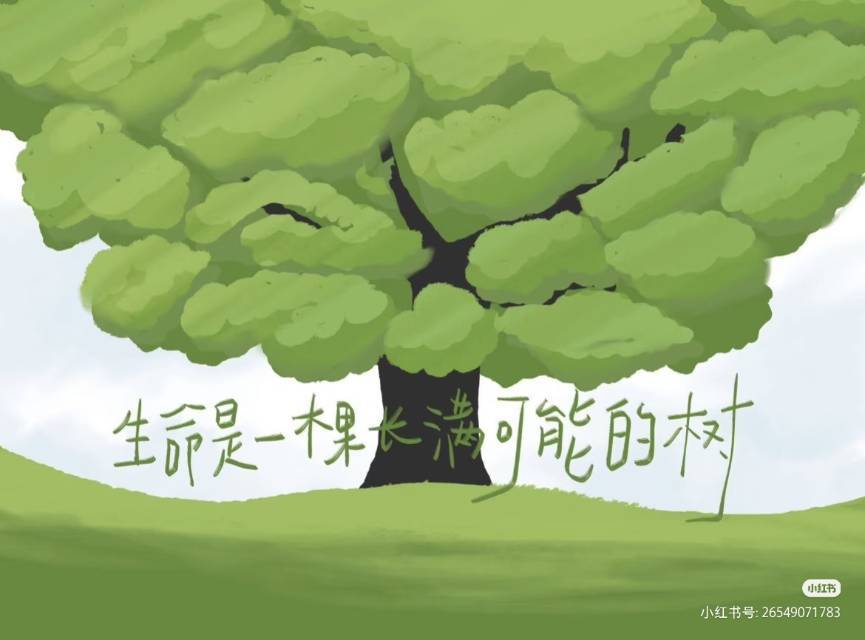 初日微凉🍃