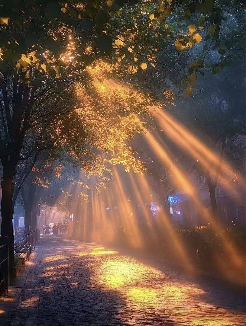 人生就是一场体验，要尽兴