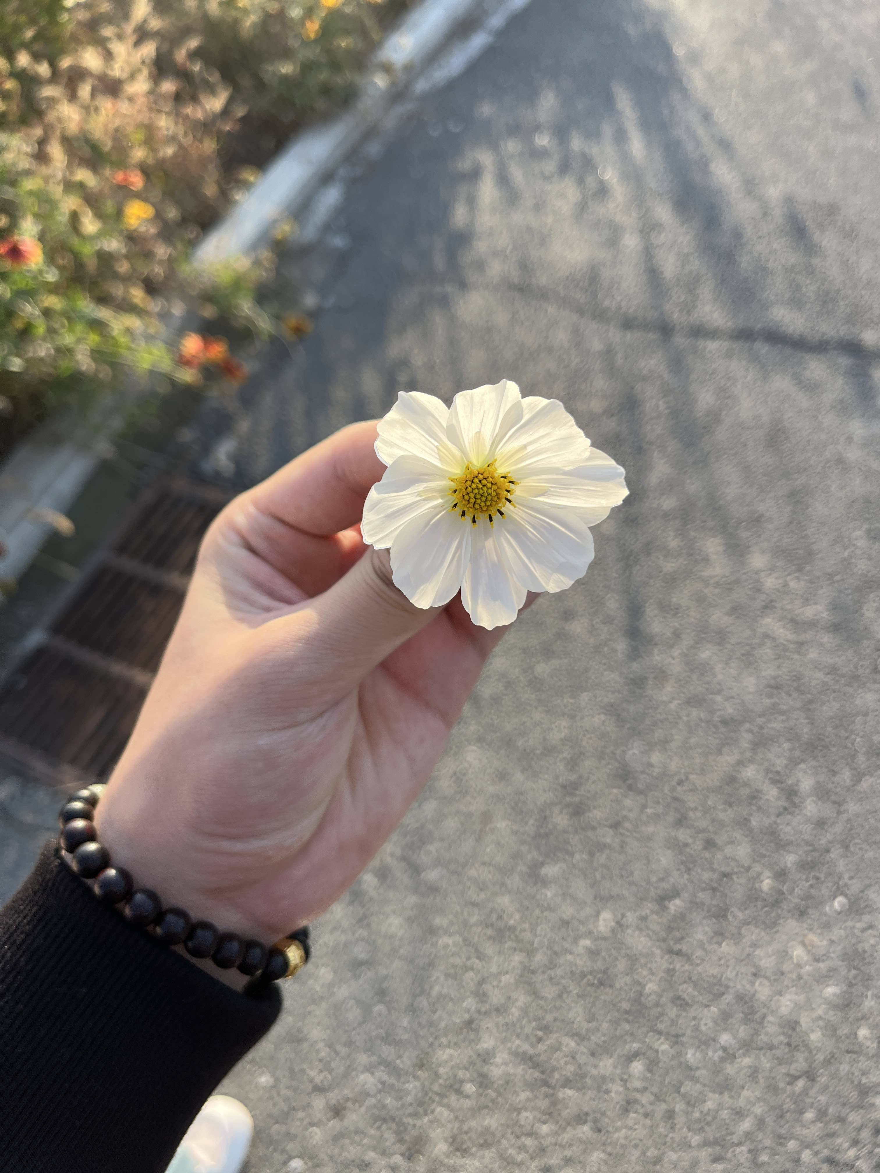 潘