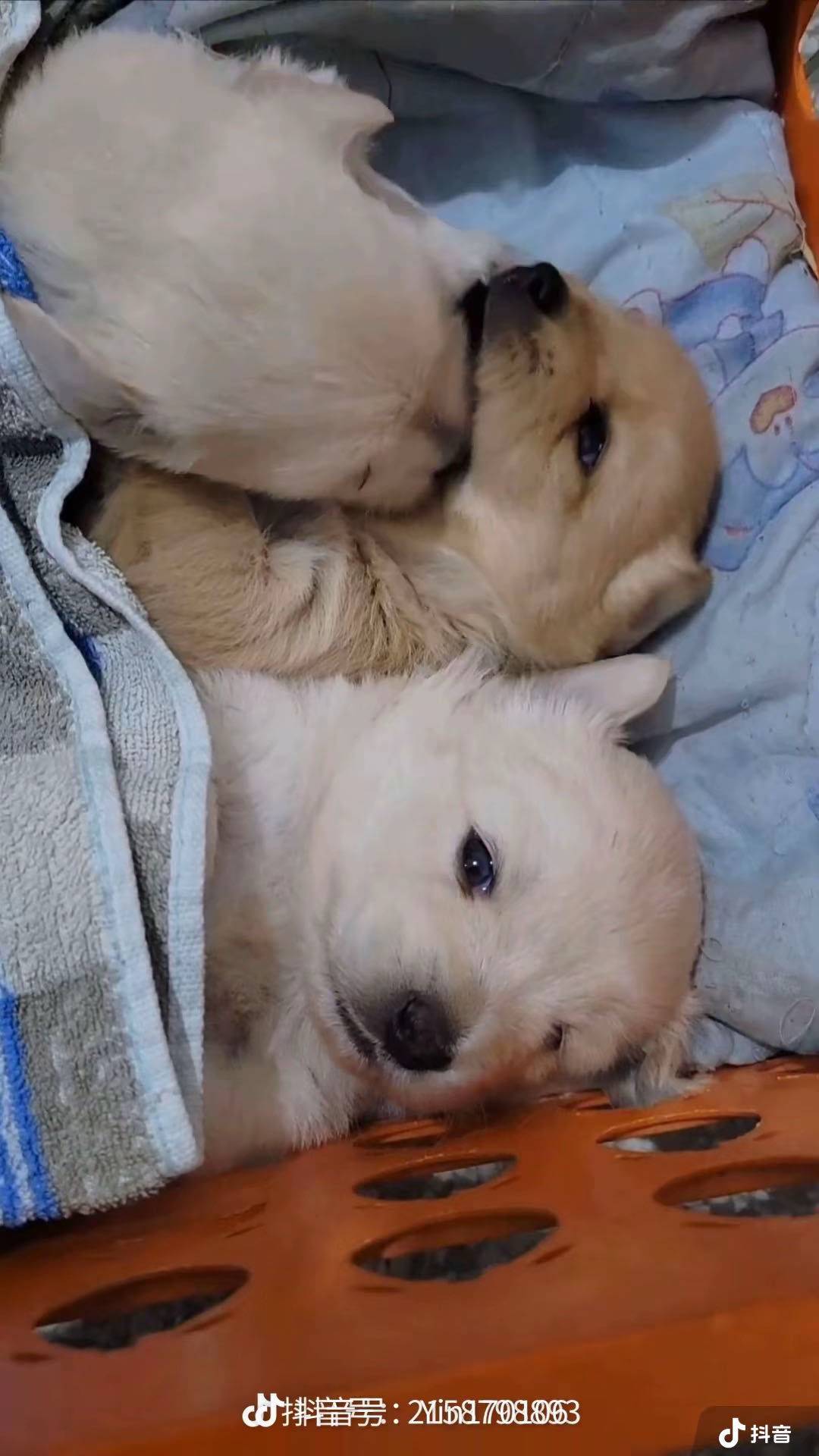 累了就睡觉吧