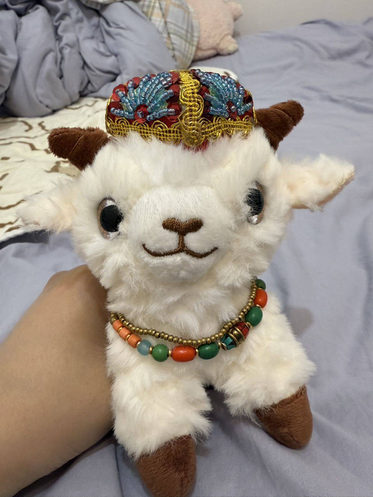 qiuqiu
