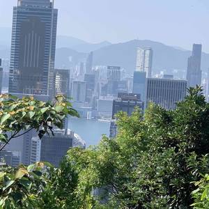 悠然安心