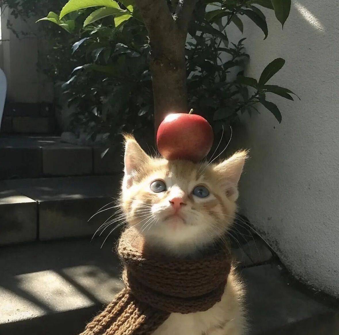 初五