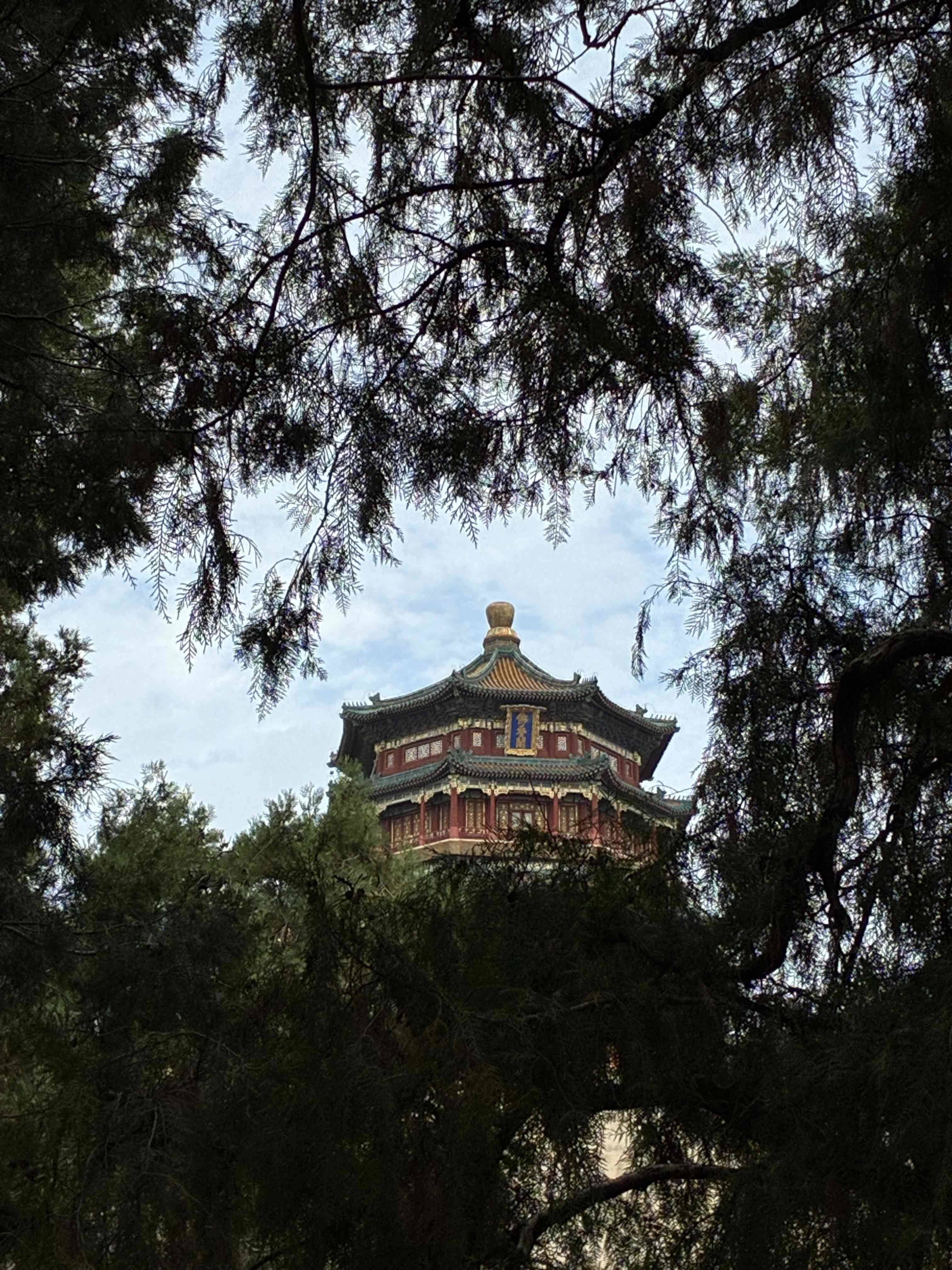 大瓶子