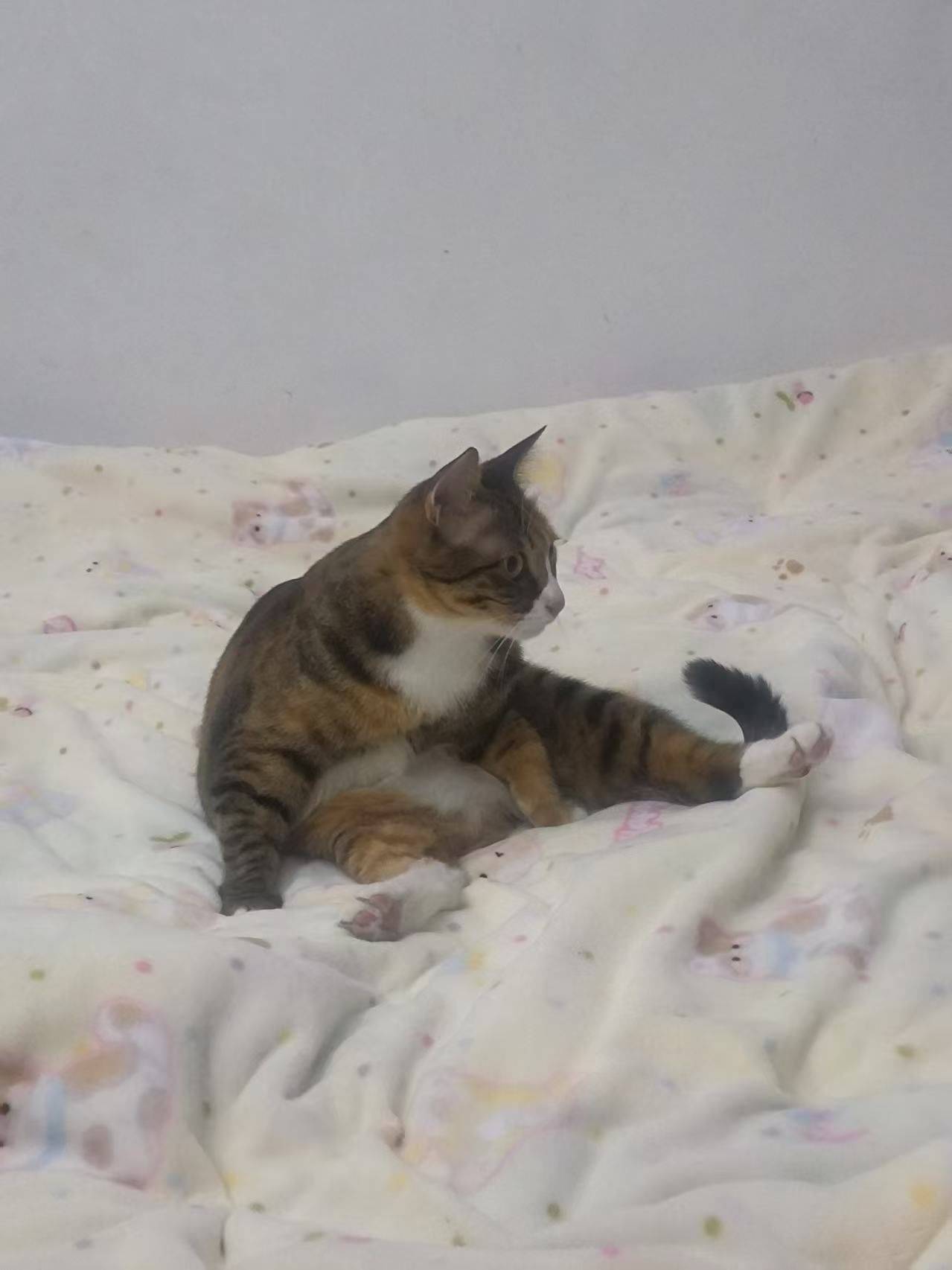 小满