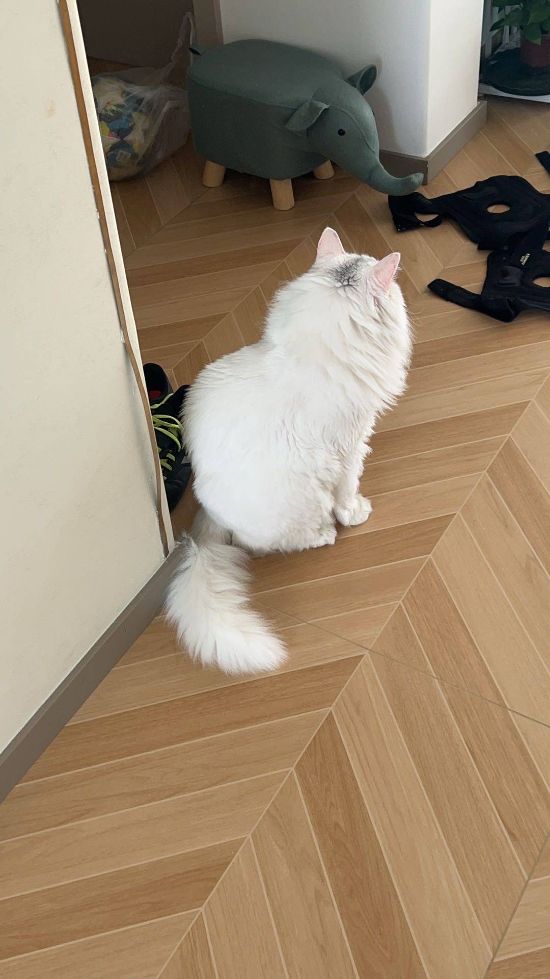 知行