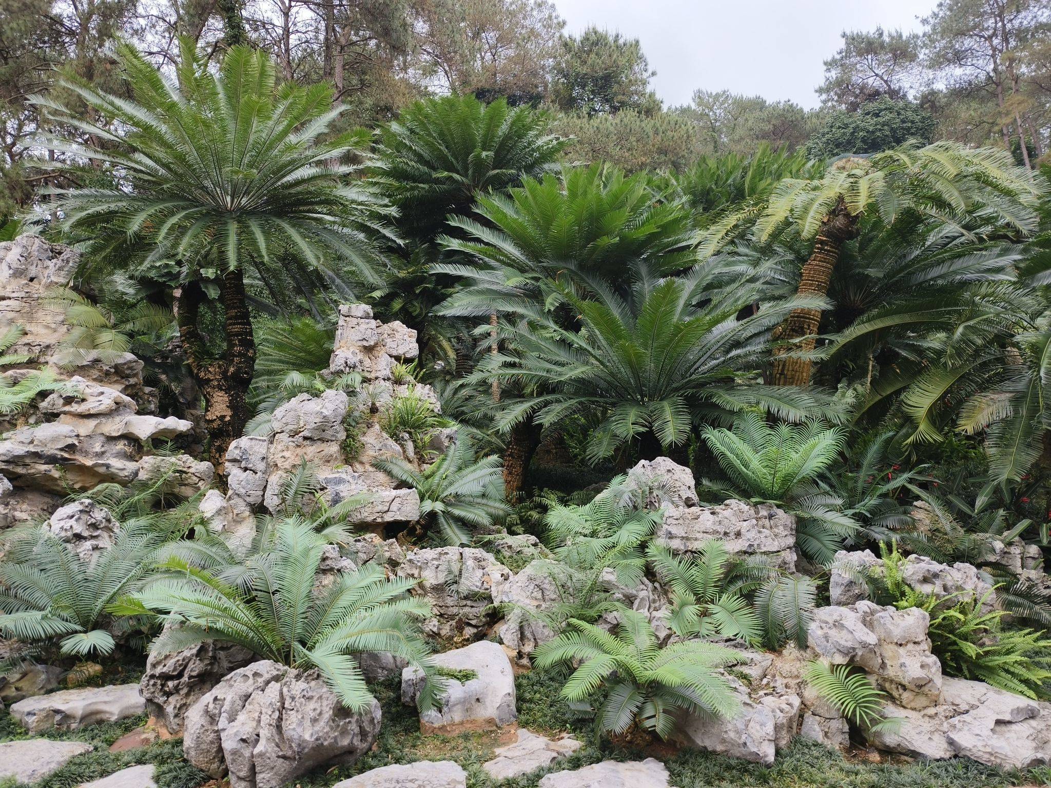 流芳百世的代号