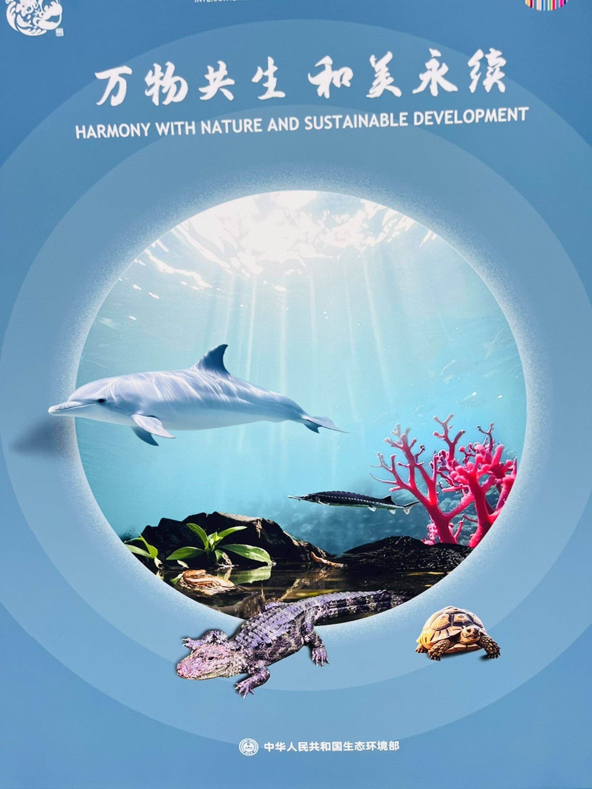 找个合租小姐姐