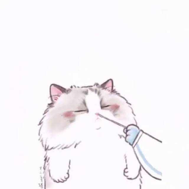 春耕年