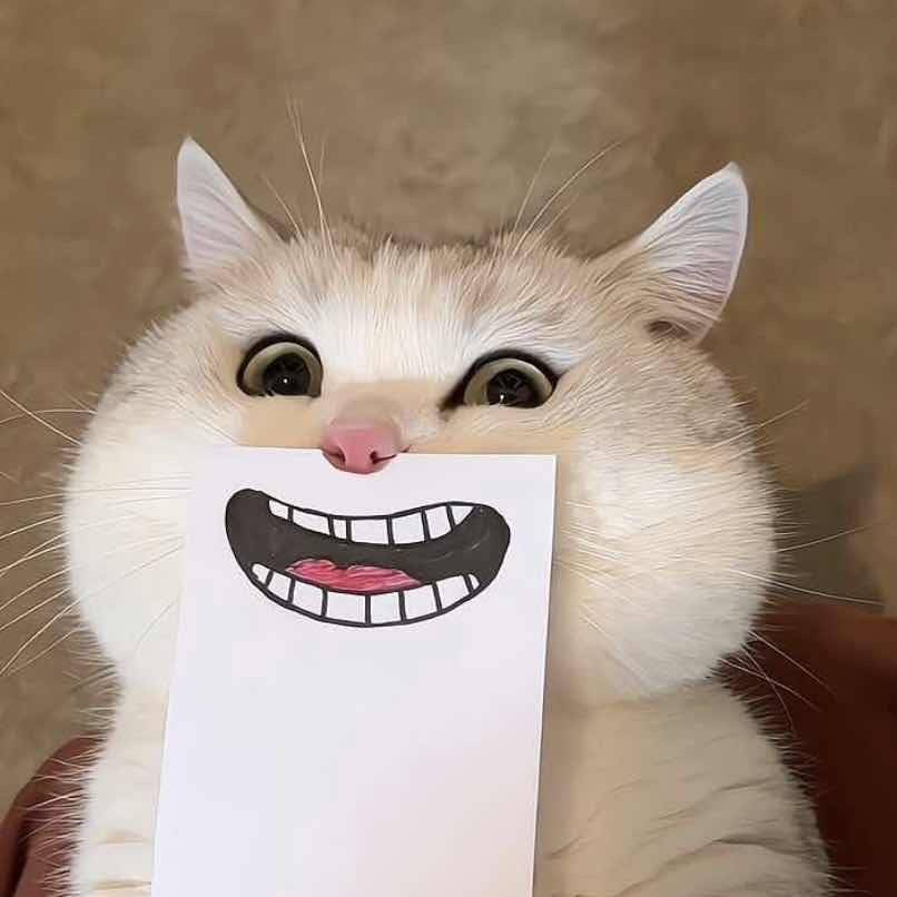 转租
