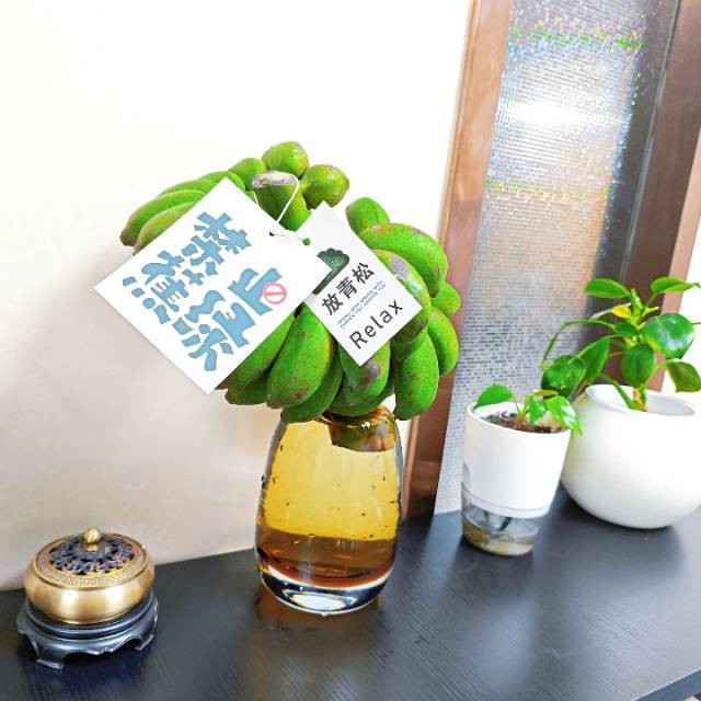 橙子