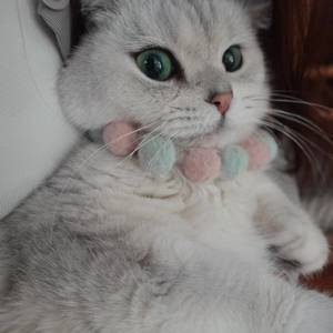 小康