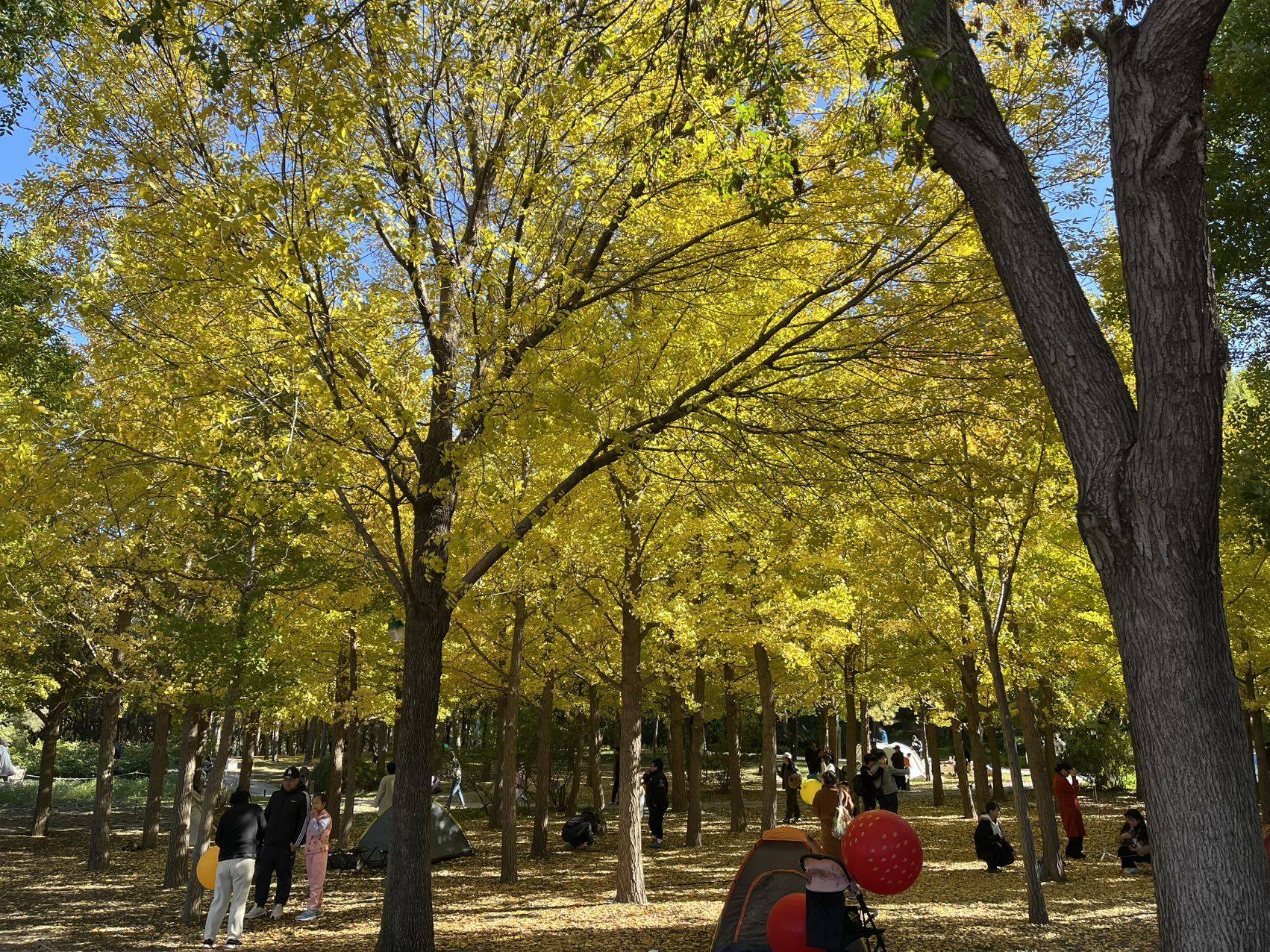 风中