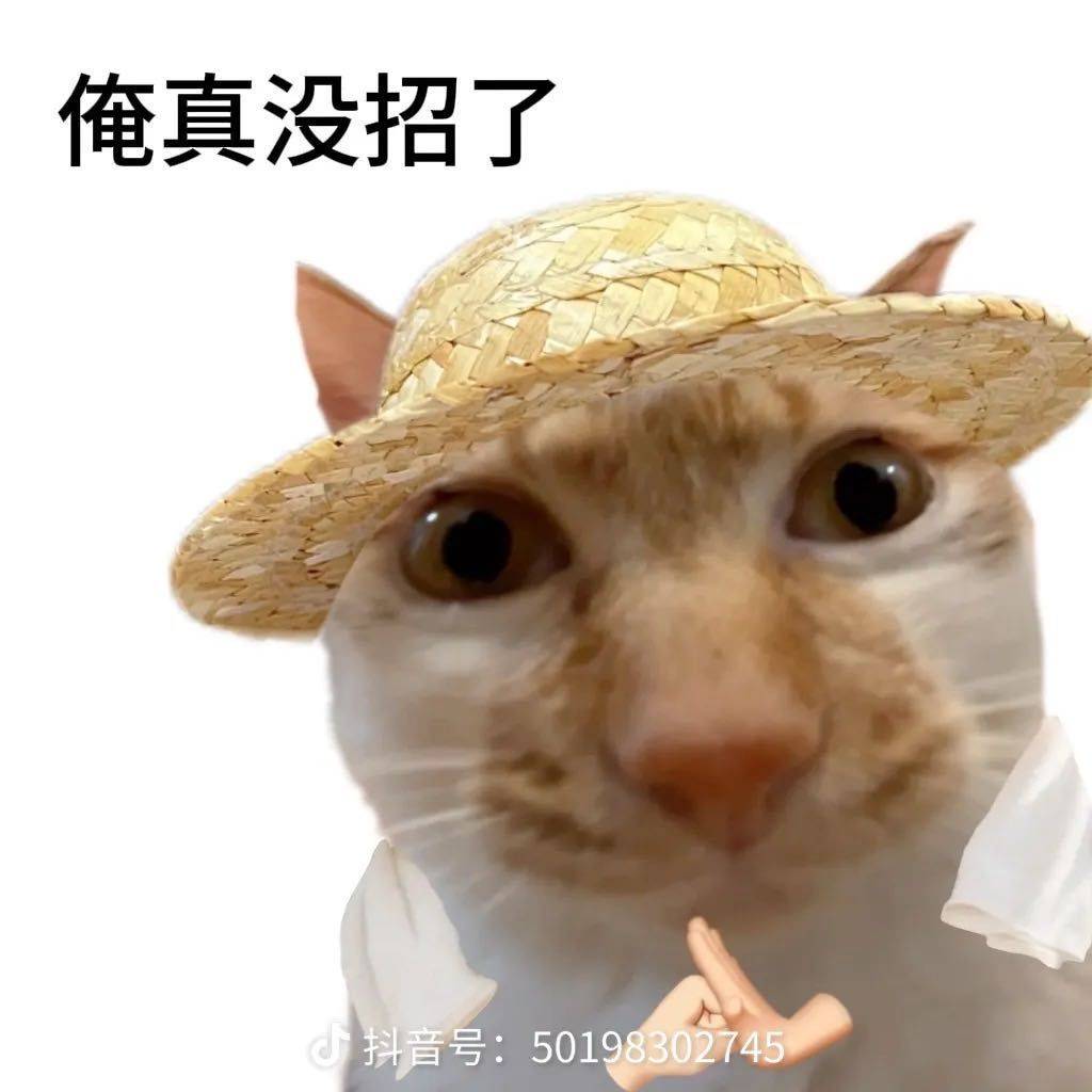 小纯🍪