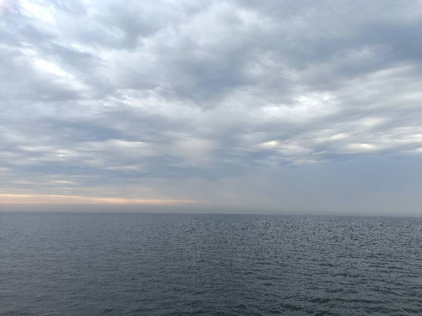 颖逸