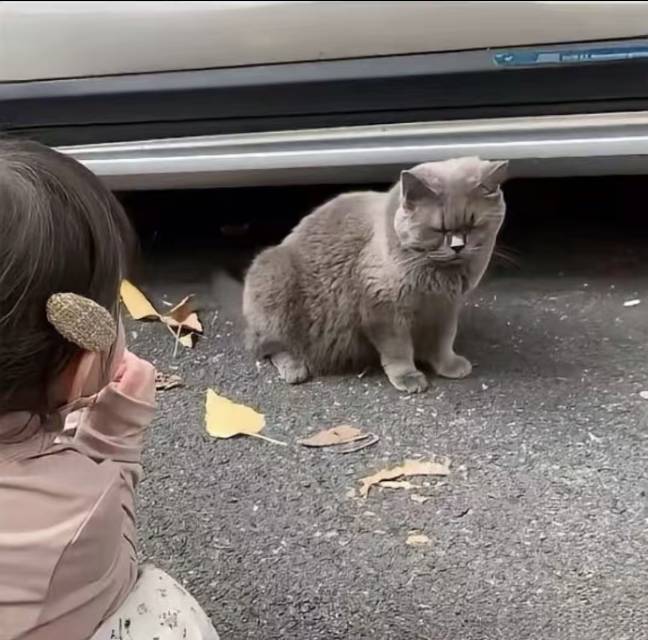 不嘻嘻