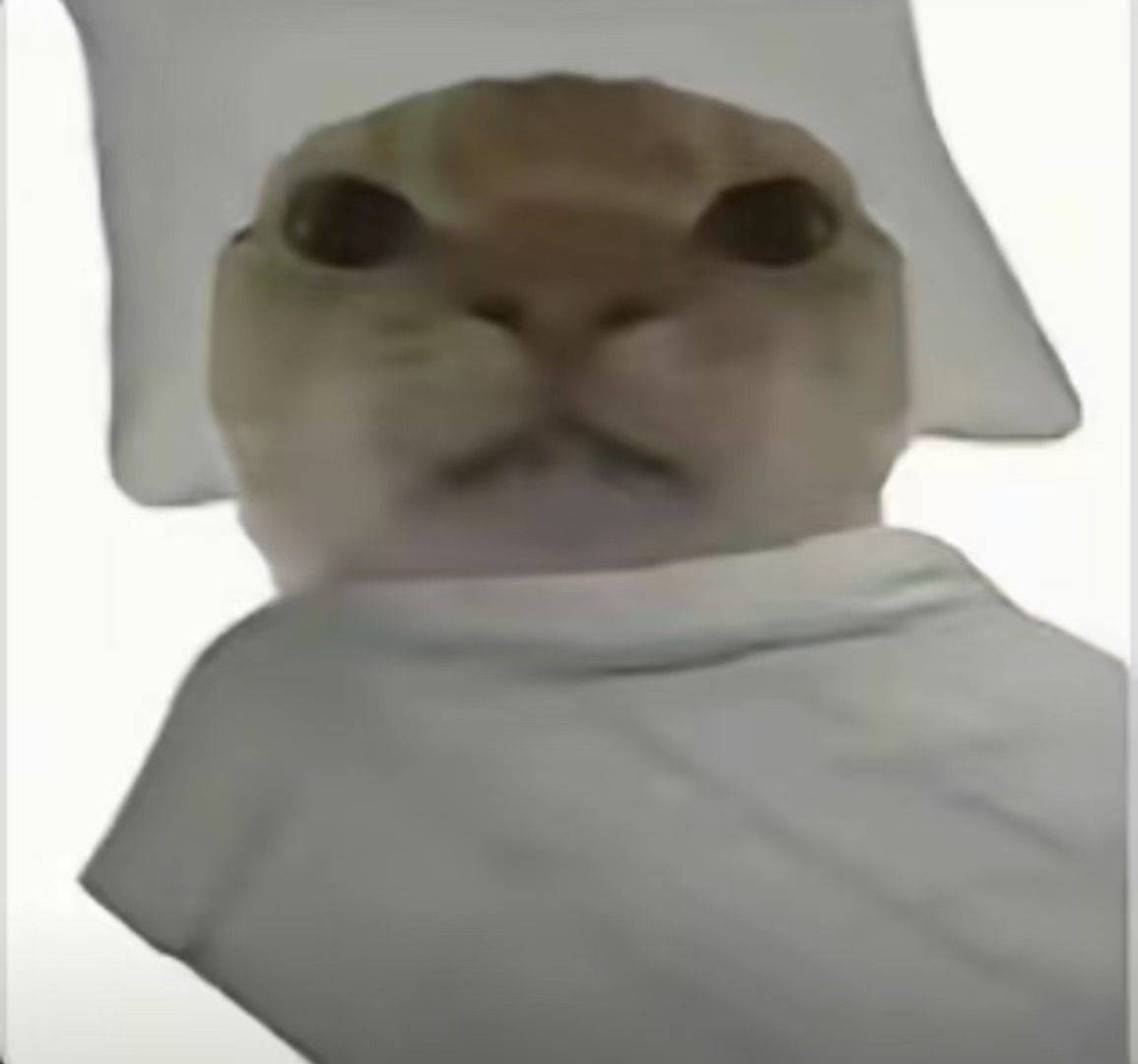 阿正