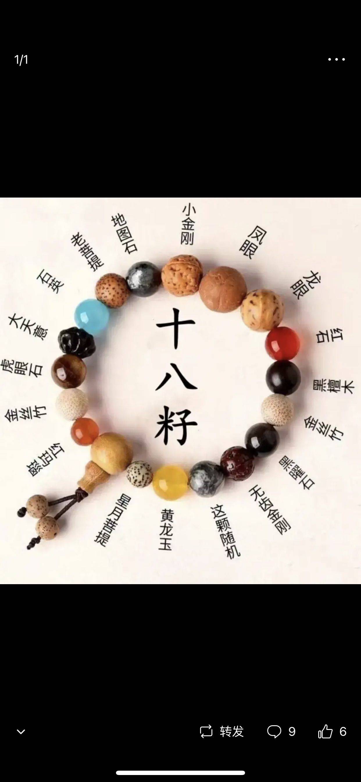 白龙马