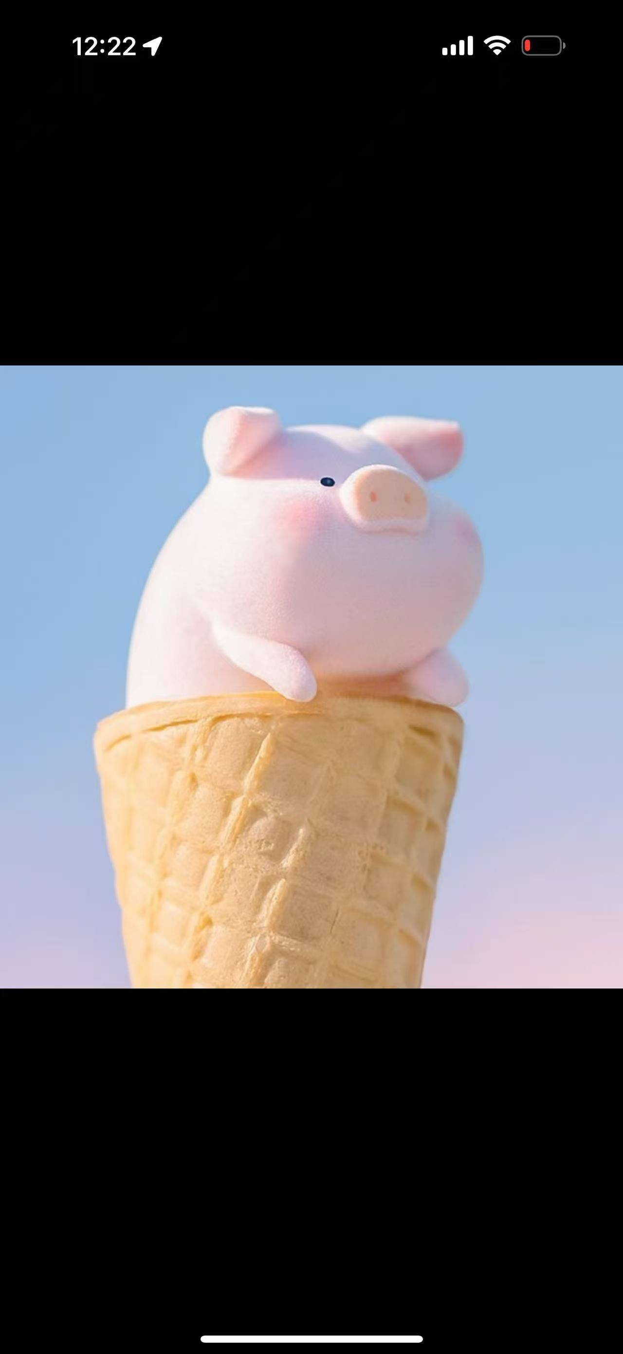 🌹月亮供电所🍓♥