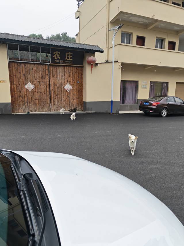 一醉解千秋