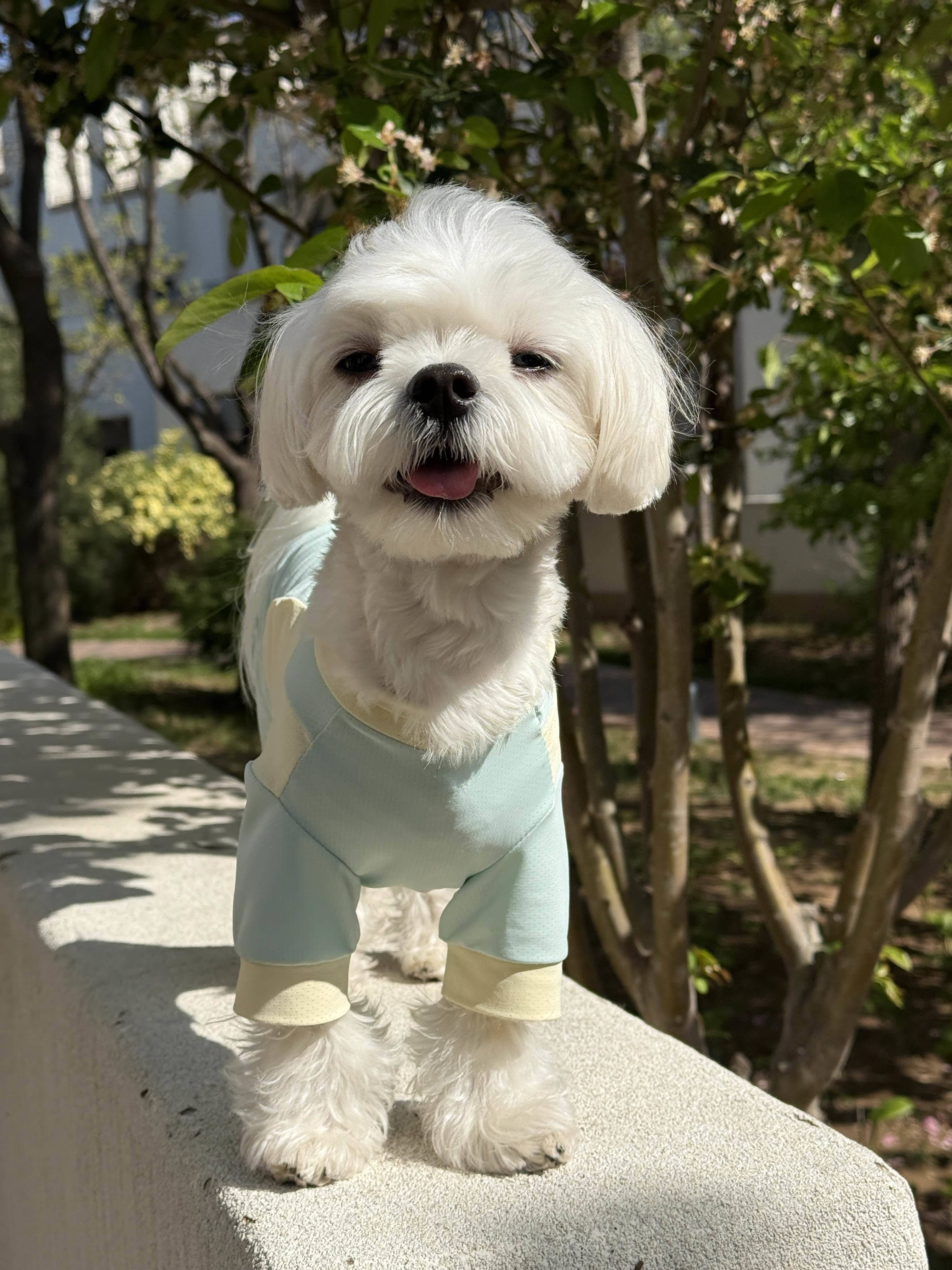 lili
