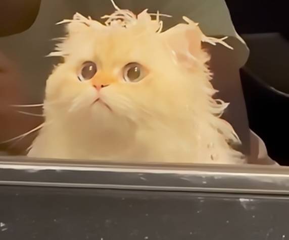 U。U