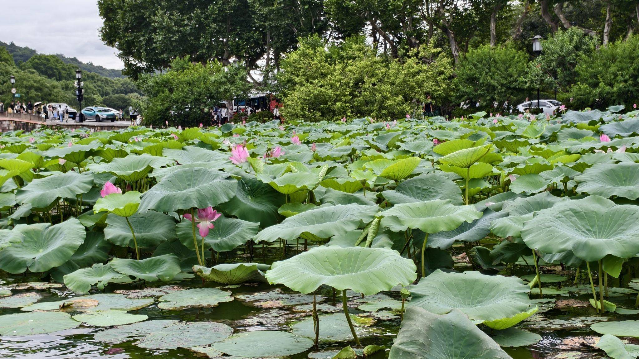 丰台东大街房东直租