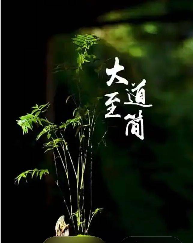 大道至简