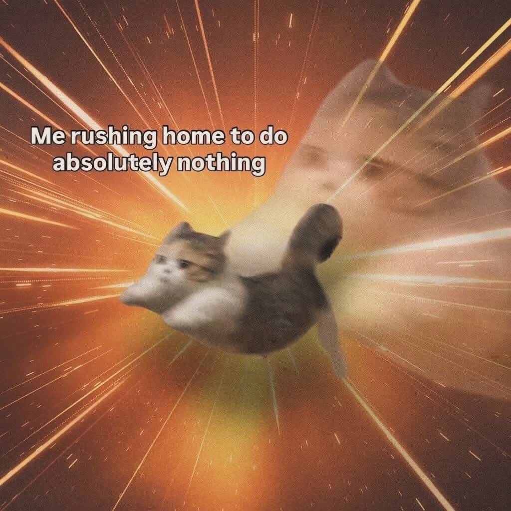 momoaolig