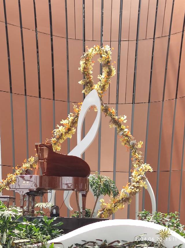 栀子花开