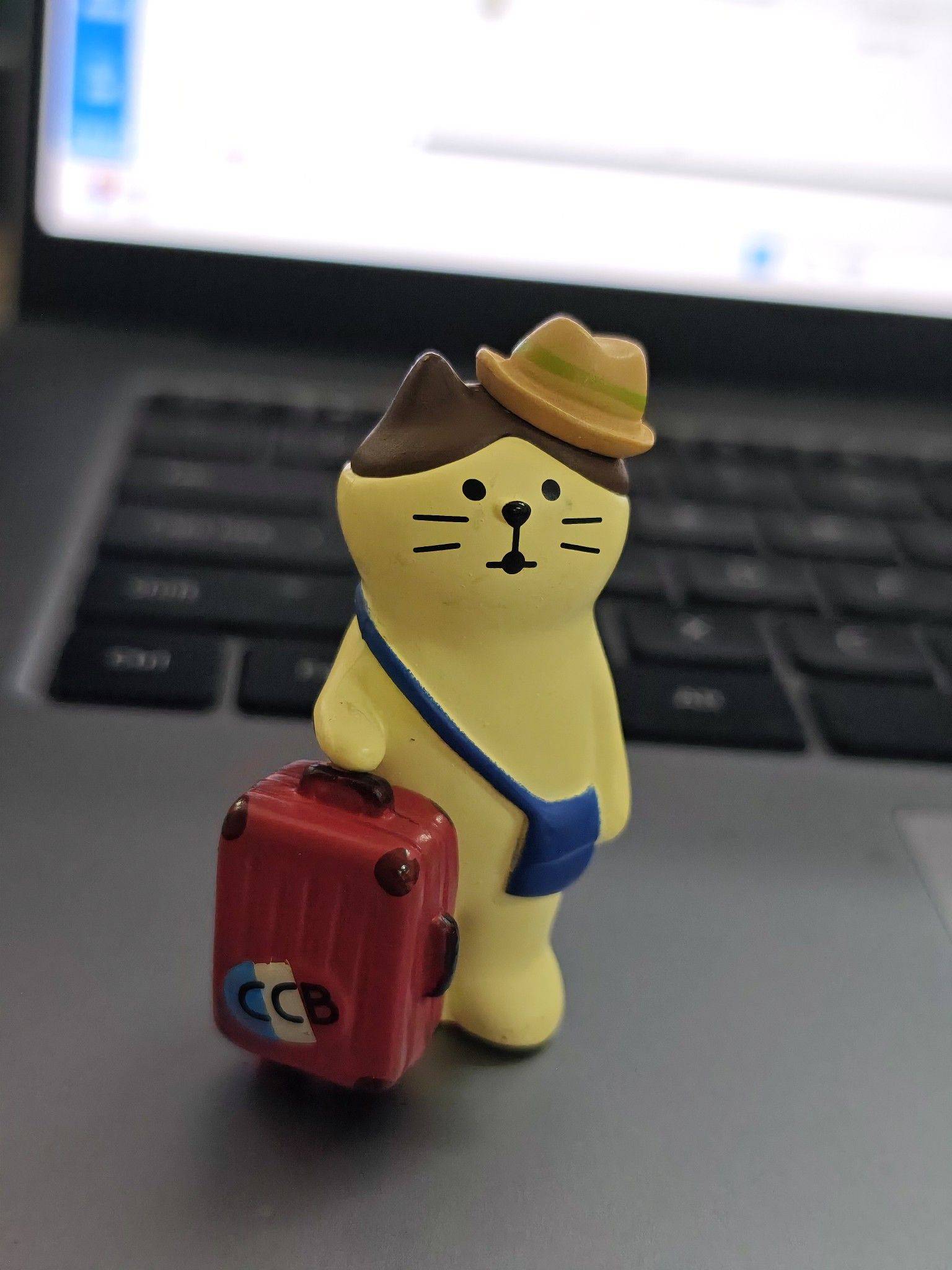 戴戴