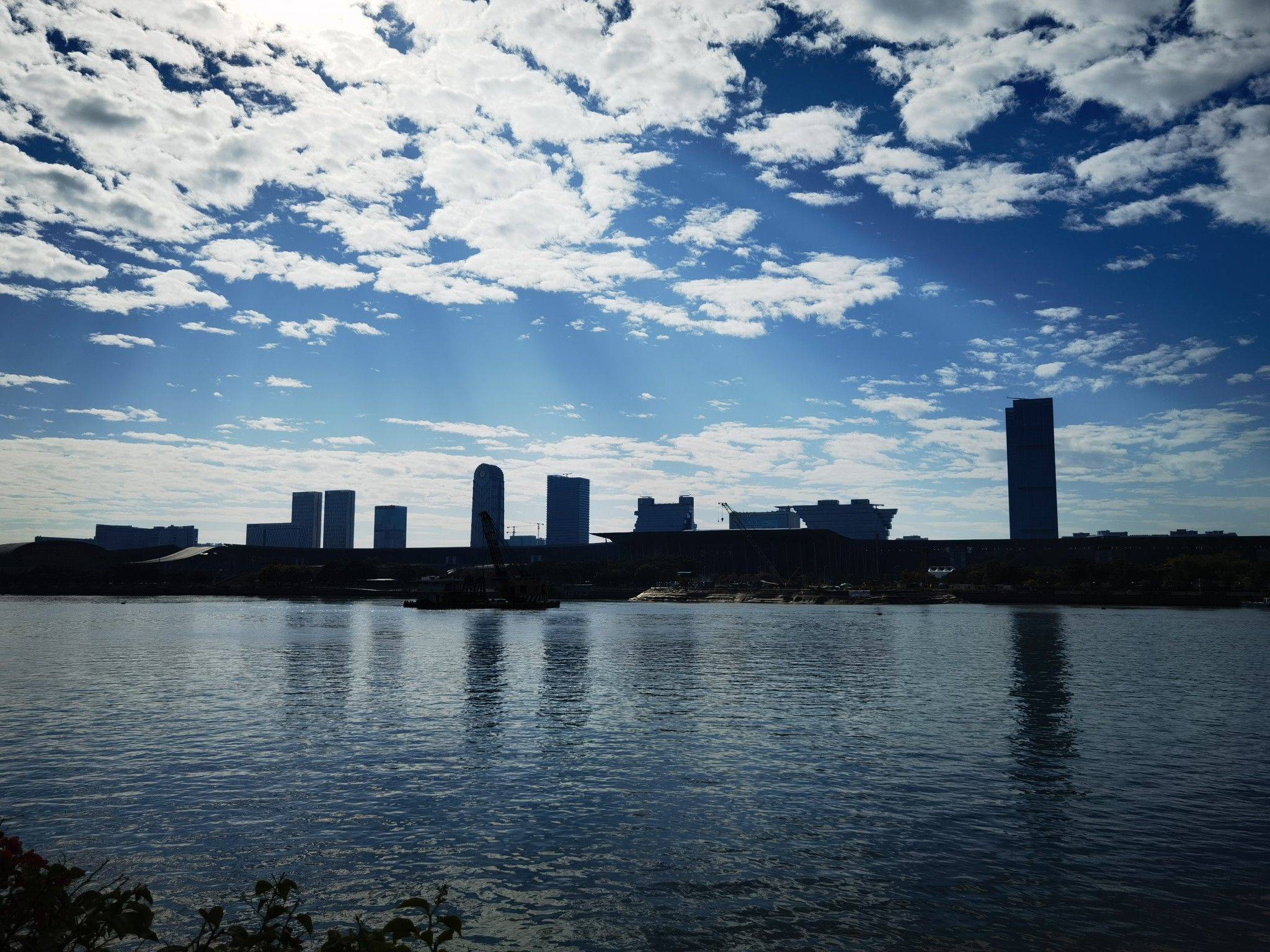 life_photo_0