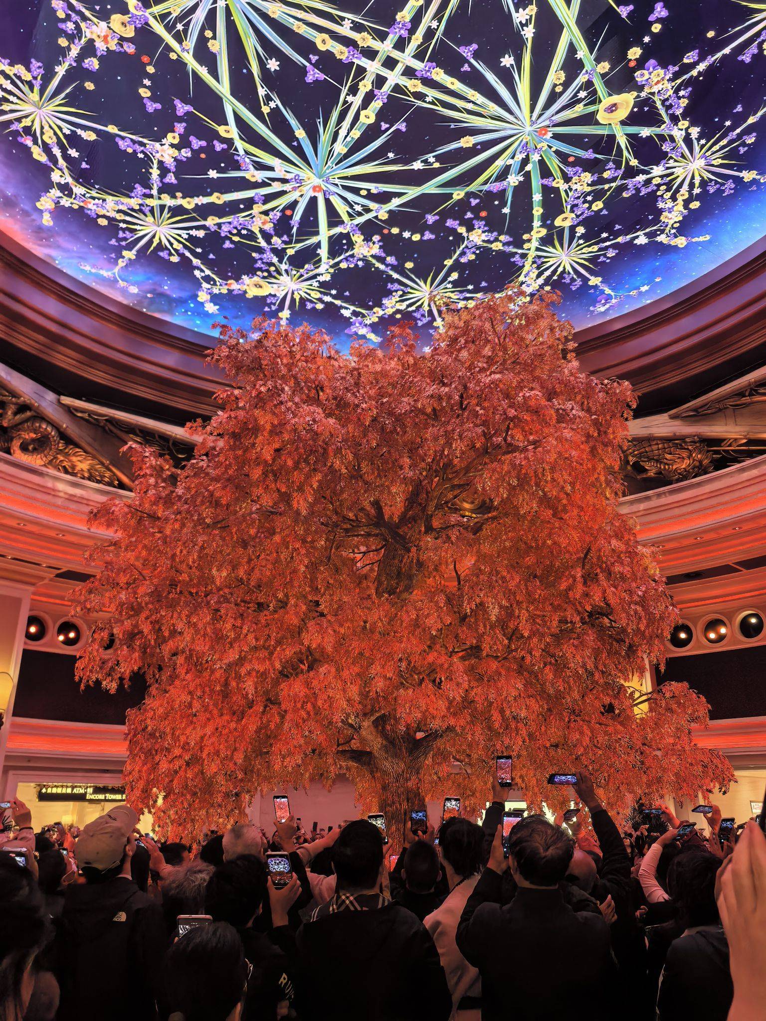 相信相信的力量：文员，来自：上海