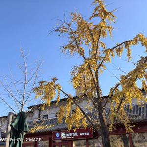绝对靠谱